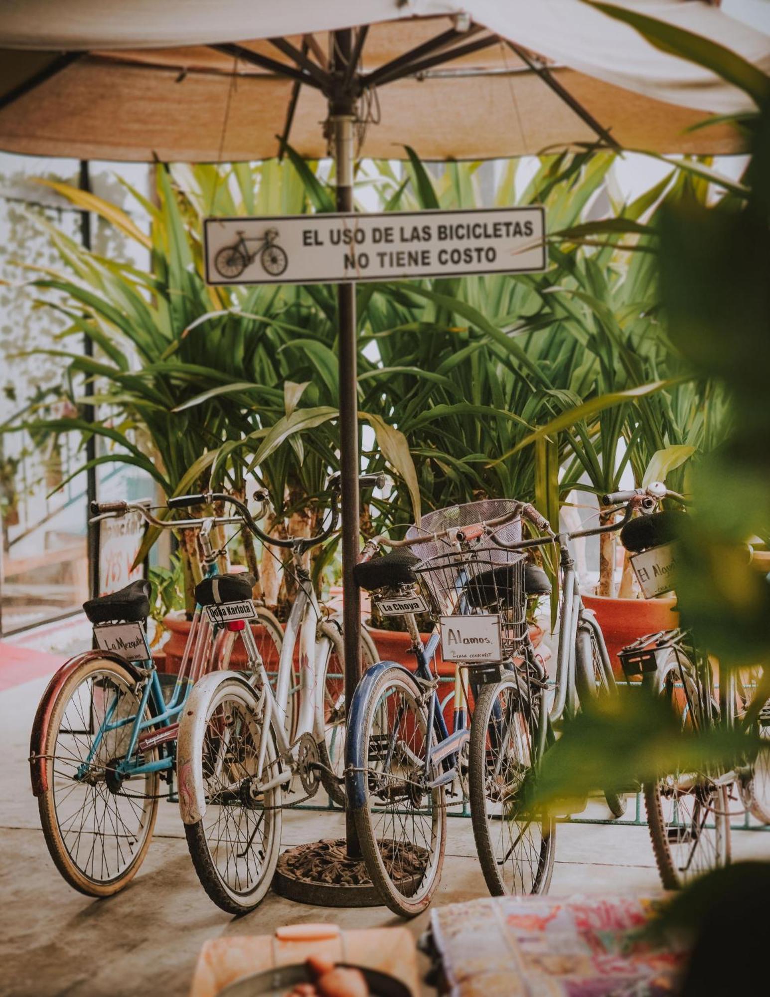 Hotel Casa Conicarit Puerto Escondido  Zewnętrze zdjęcie